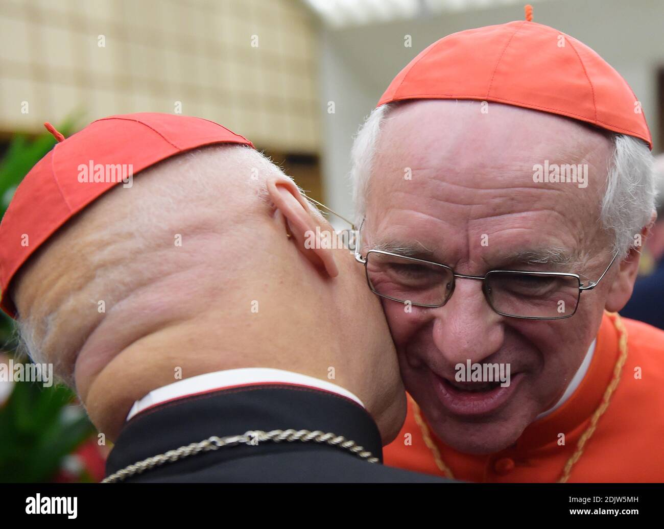 Le cardinal nouvellement élevé Jozef DE KESEL de Belgique assiste à une visite de courtoisie à la suite d'un consistoire le 19 novembre 2016 à la salle d'audience Paul VI au Vatican. Le pape François a créé 17 nouveaux cardinaux du monde entier. Photo par Eric Vandeville/ABACAPRESS.COM Banque D'Images Le cardinal nouvellement élevé Jozef DE KESEL de Belgique assiste à une visite de courtoisie à la suite d'un consistoire le 19 novembre 2016 à la salle d'audience Paul VI au Vatican. Le pape François a créé 17 nouveaux cardinaux du monde entier. Photo par Eric Vandeville/ABACAPRESS.COM Banque D'Images