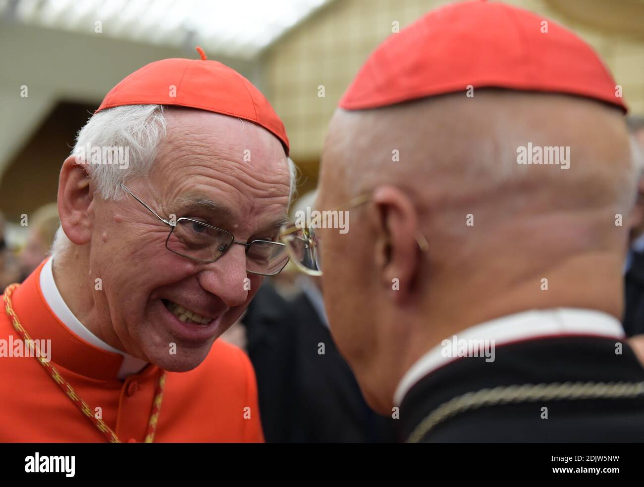 Le cardinal nouvellement élevé Jozef DE KESEL de Belgique assiste à une visite de courtoisie à la suite d'un consistoire le 19 novembre 2016 à la salle d'audience Paul VI au Vatican. Le pape François a créé 17 nouveaux cardinaux du monde entier. Photo par Eric Vandeville/ABACAPRESS.COM Banque D'Images Le cardinal nouvellement élevé Jozef DE KESEL de Belgique assiste à une visite de courtoisie à la suite d'un consistoire le 19 novembre 2016 à la salle d'audience Paul VI au Vatican. Le pape François a créé 17 nouveaux cardinaux du monde entier. Photo par Eric Vandeville/ABACAPRESS.COM Banque D'Images