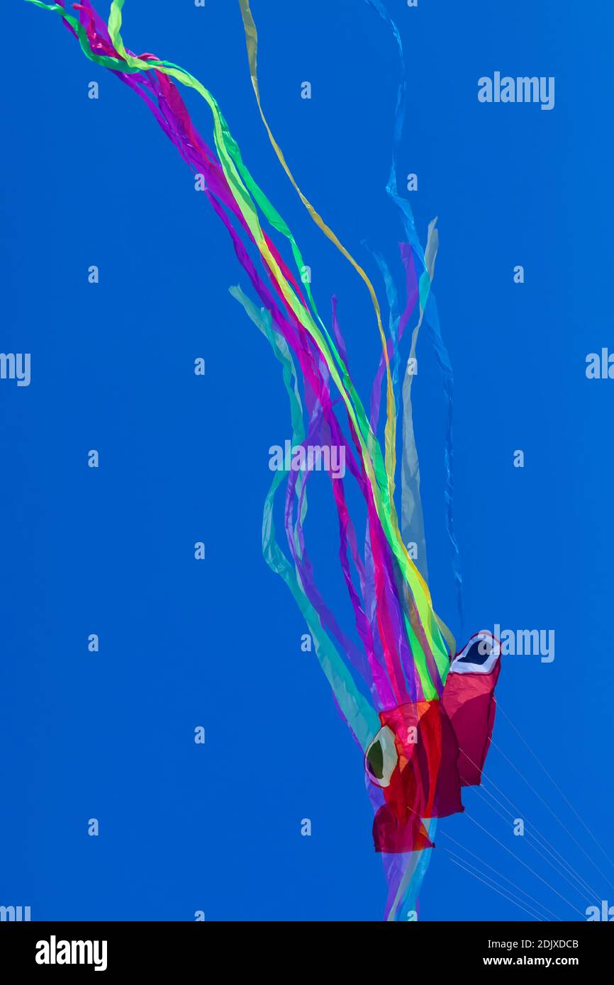 Cerf-volant en forme de poulpe, avec des lignes abstraites en mouvement, dans des couleurs vives, formé par des tissus froissés qui flottent légèrement sur un dos de couleur unie Banque D'Images