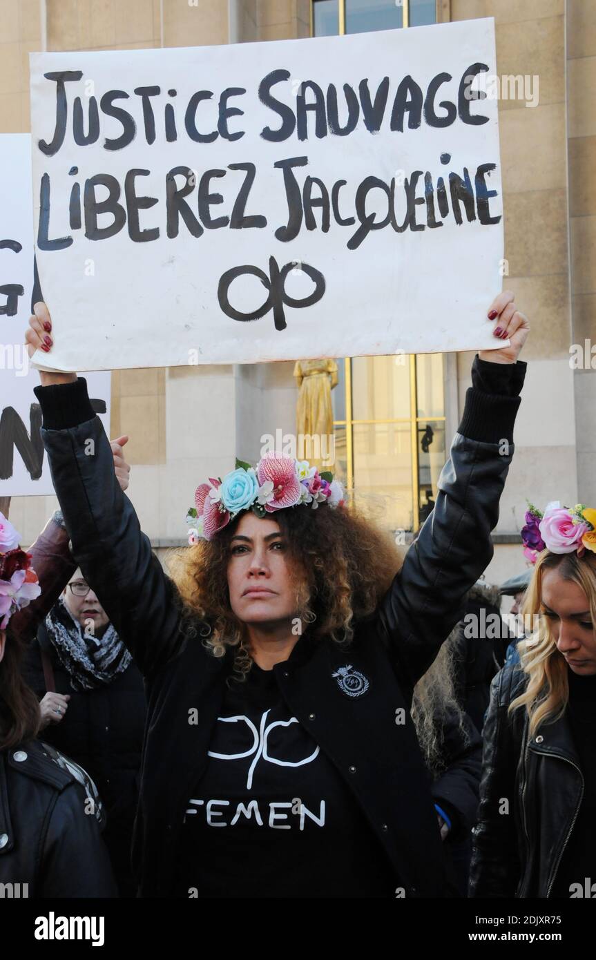 Manifestation en présence des comédiens Annie Duperey, Daniele Evenou, Eva Darlan, Inna Shevchenko et Femen, et des avocats Janine Bonaggiunta et Nathalie Tomasini, sur le Trocadéro à l'entrée de la Tour Eiffel à Paris, le 10 décembre 2016, demandant la libération de Jacqueline sauvage. La Cour d'appel de Paris a rejeté le 24 novembre 2016 la demande de libération conditionnelle de Jacqueline sauvage, condamnée à 10 ans d'emprisonnement pour le meurtre de son mari violent, malgré la grâce présidentielle partielle du président français François Hollande. Photo d'Alain Apaydin/ABACAPRES Banque D'Images