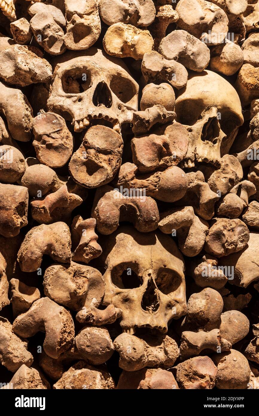 Brno (Brünn), Ossuary à l'église Saint-Jacques (Kostnice u sv. Jakuba), des crânes dans la vieille ville, Jihomoravsky, Südmähren, Moravie du Sud, Tchèque Banque D'Images