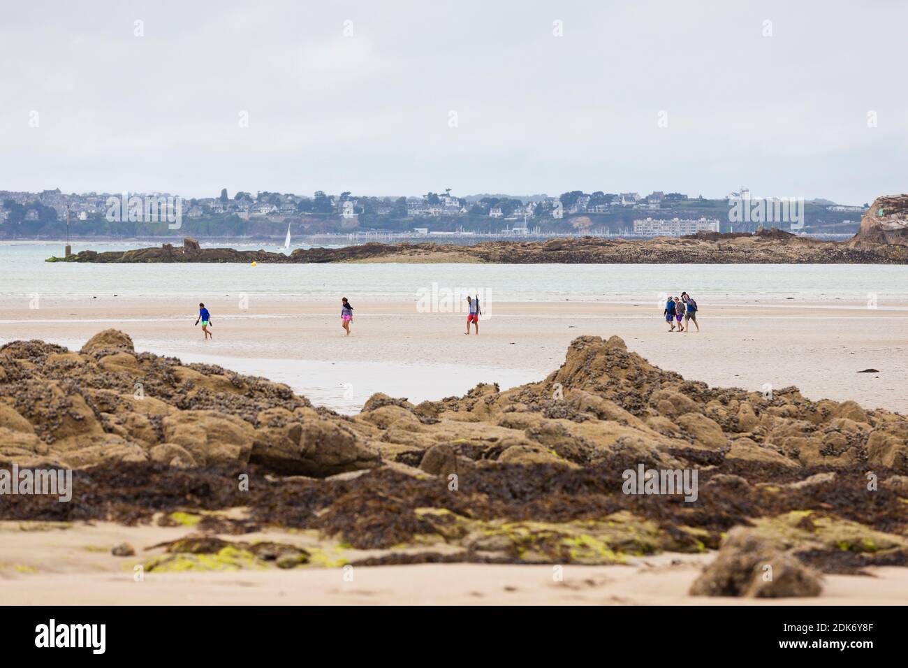 Randonnée à la boue entre rochers et plage sur l'île marémotrice d'Ebihens près de Saint Malo en Bretagne, France. En arrière-plan la ville côtière de Saint-Cast le Guildo Banque D'Images