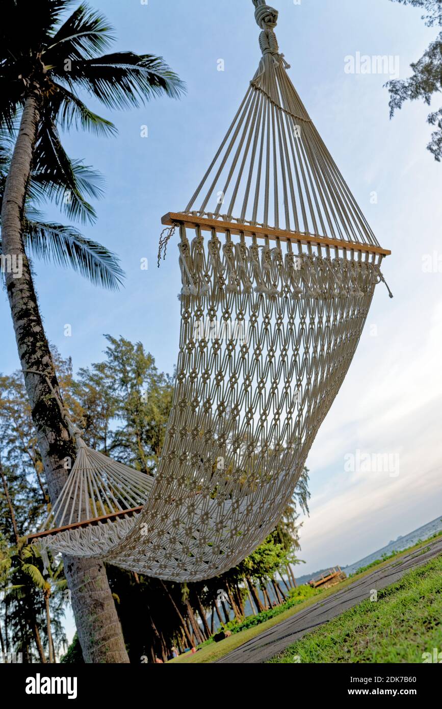 Un hamac de corde reposant attaché entre deux palmiers - Thaïlande -  destination de voyage Photo Stock - Alamy