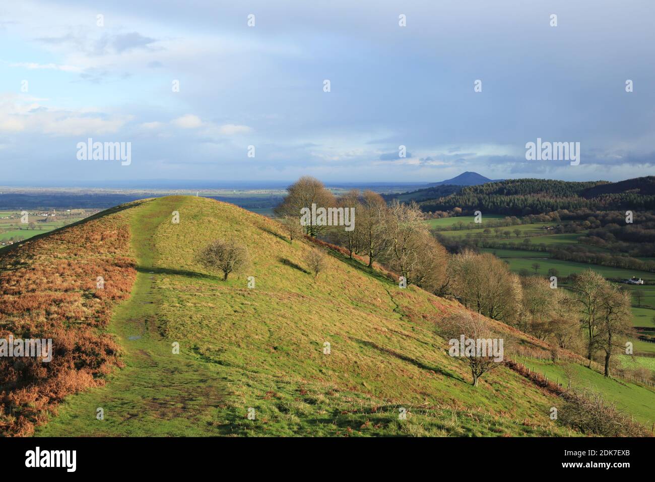 Vue depuis Lawley, l'une des collines du Shropshire, Angleterre, Royaume-Uni. Banque D'Images