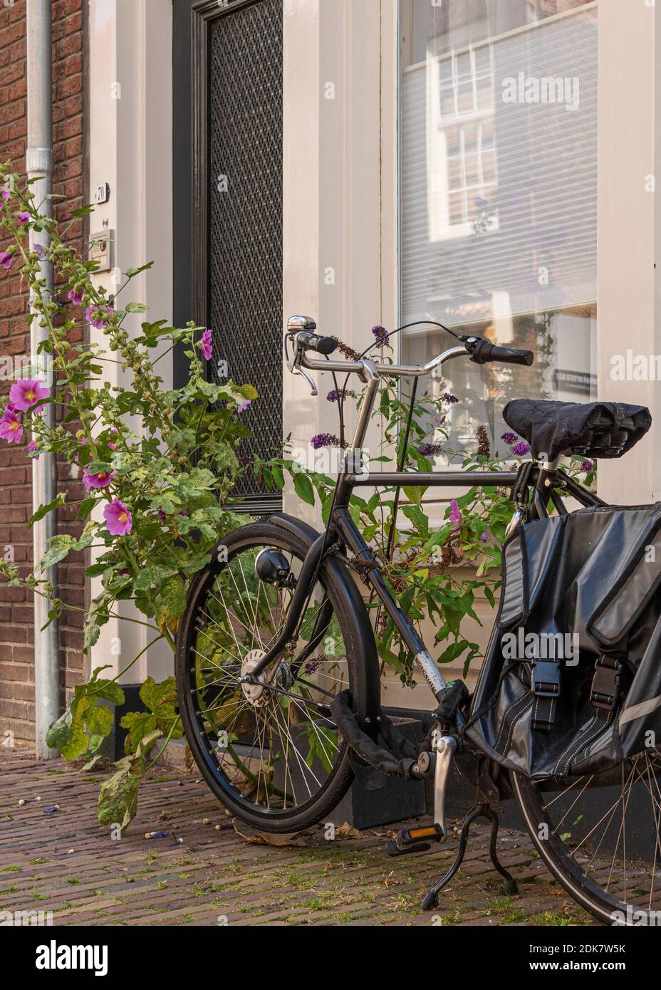 Ein Tag en Hollande: Sonnenaufgang im POLDER, CityWalk à Dordrecht. Banque D'Images