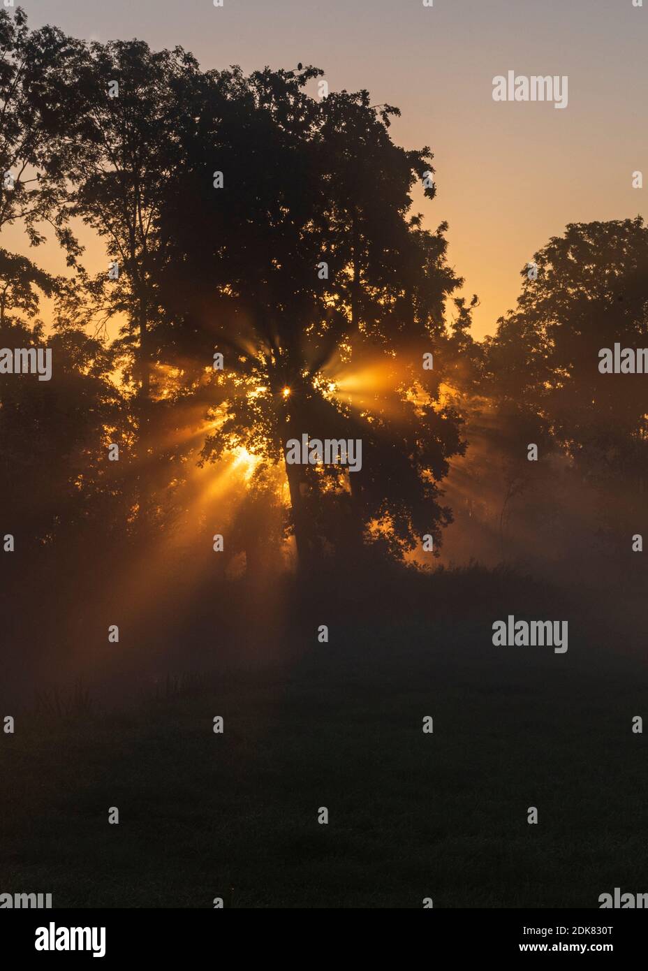 Ein Tag en Hollande: Sonnenaufgang im POLDER, CityWalk à Dordrecht. Banque D'Images