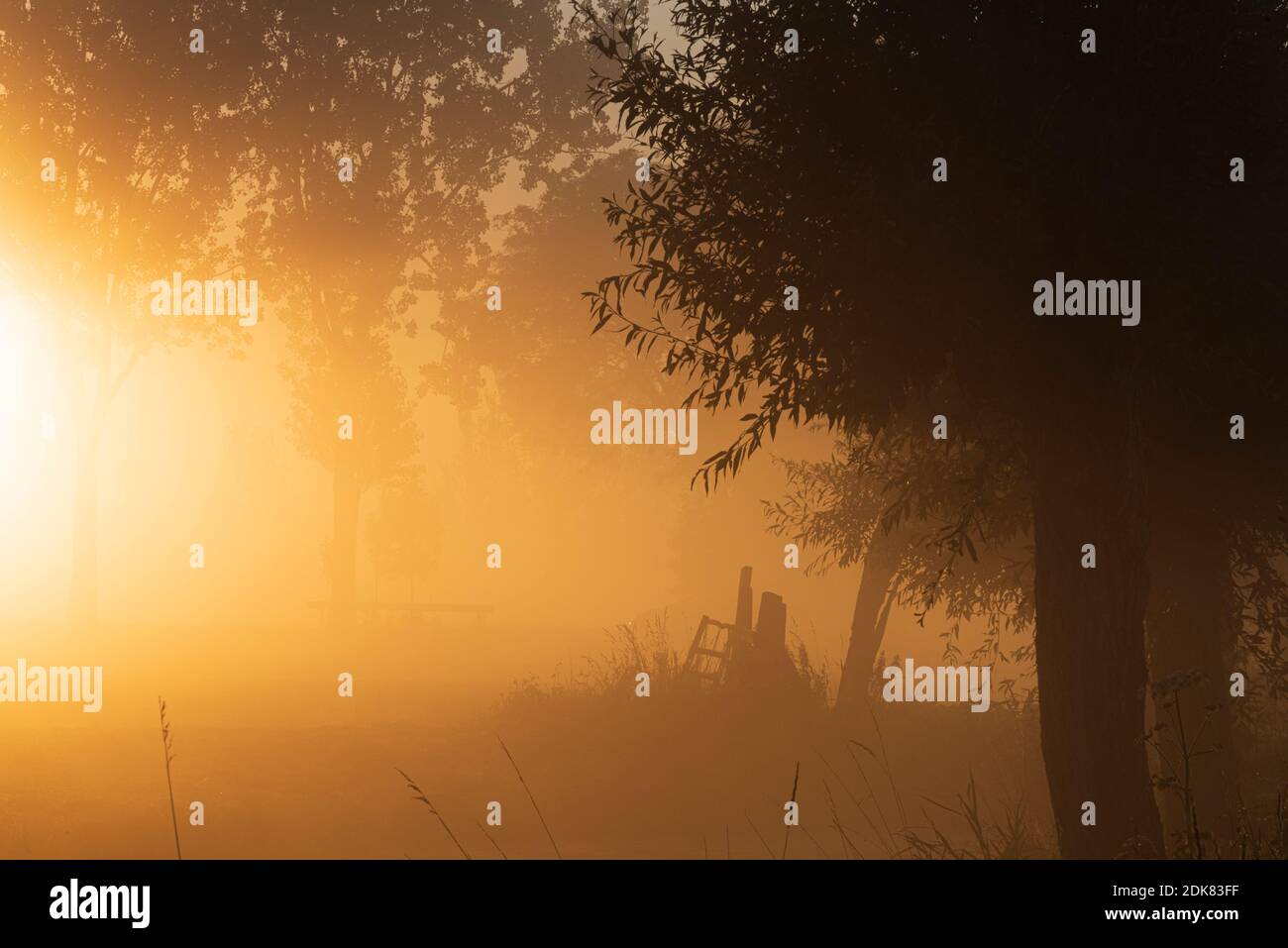 Ein Tag en Hollande: Sonnenaufgang im POLDER, CityWalk à Dordrecht. Banque D'Images