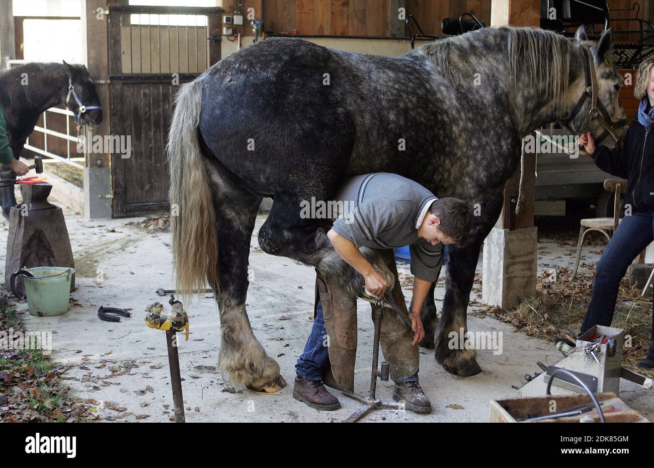 Forgeron et Percheron, raclage de l'Hoof Banque D'Images