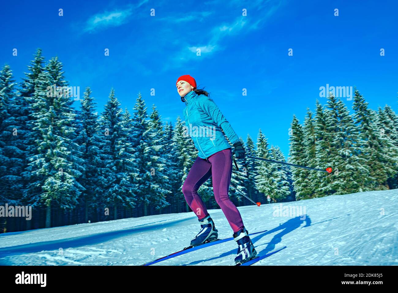 Une femme à ski de fond ou ski de tournant dans la forêt d'hiver Banque D'Images