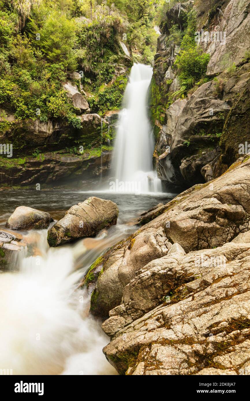 Wainui Falls, Wainui Falls Track, Golden Bay, Tasman, South Island, Nouvelle-Zélande, Océanie Banque D'Images