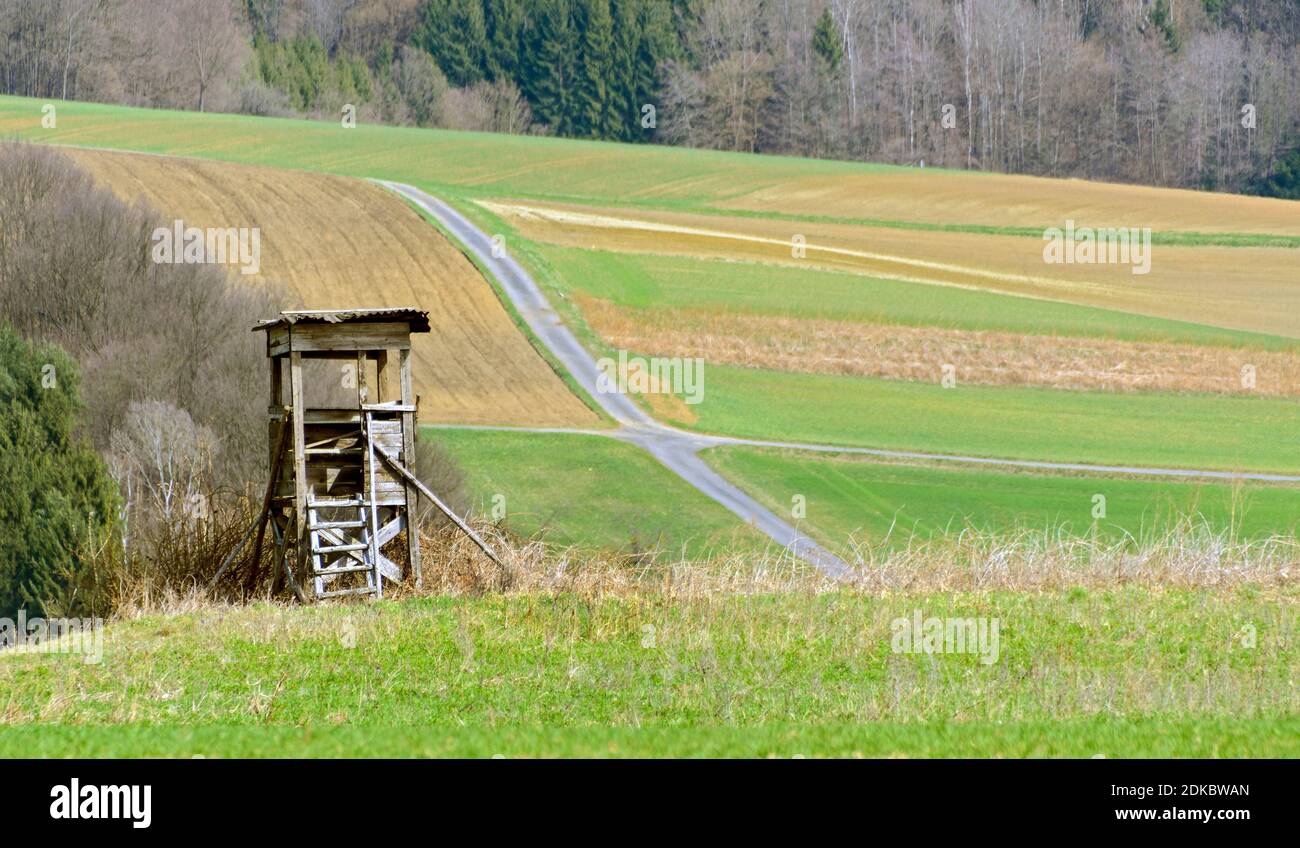 siège haut en bois sur le bord d'un pré dans la région de Burgenland, Autriche Banque D'Images