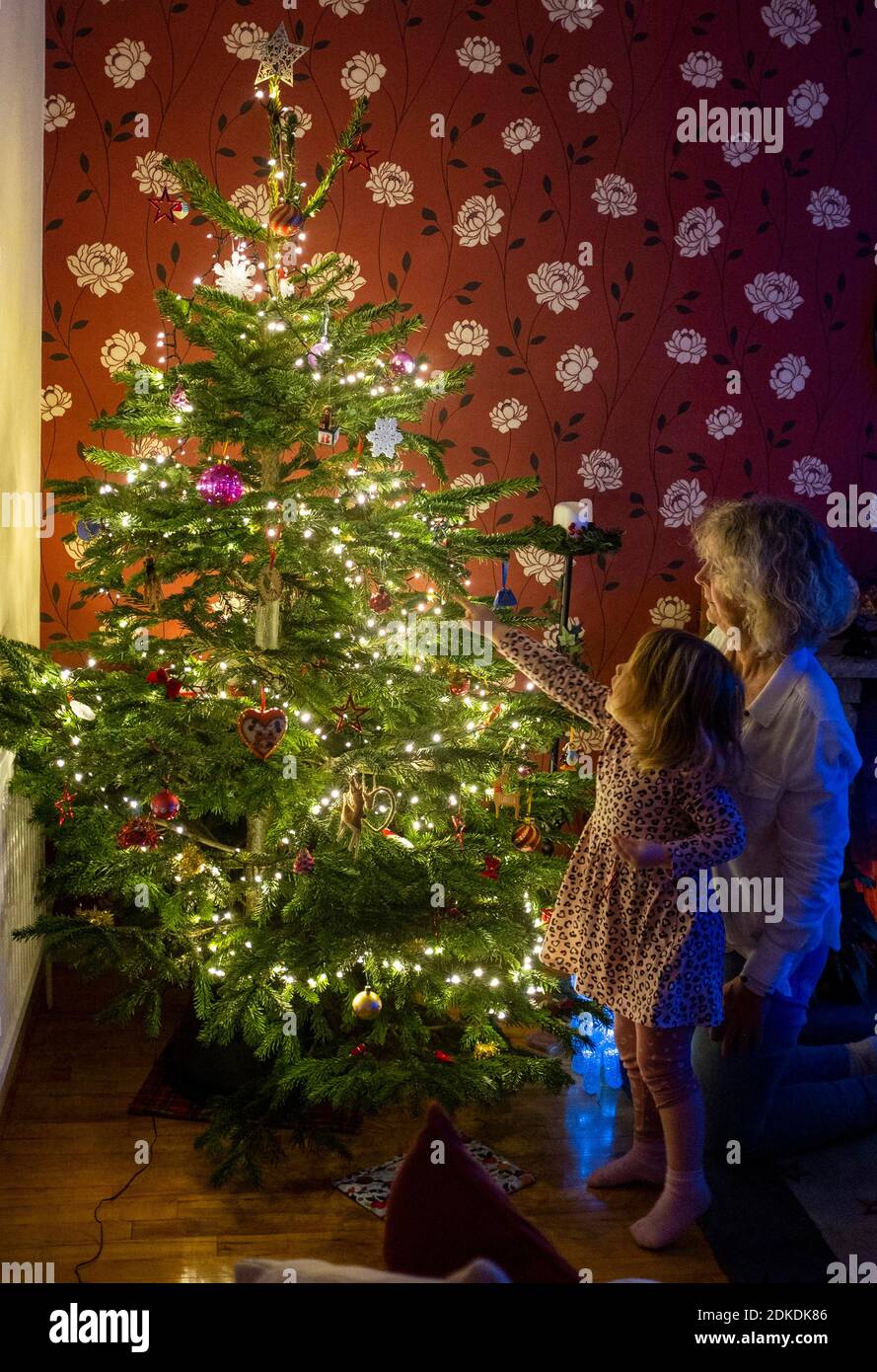 Jeune fille de 4 ans décorant un vrai arbre de Noël Chez elle avec sa grand-mère au Royaume-Uni Banque D'Images