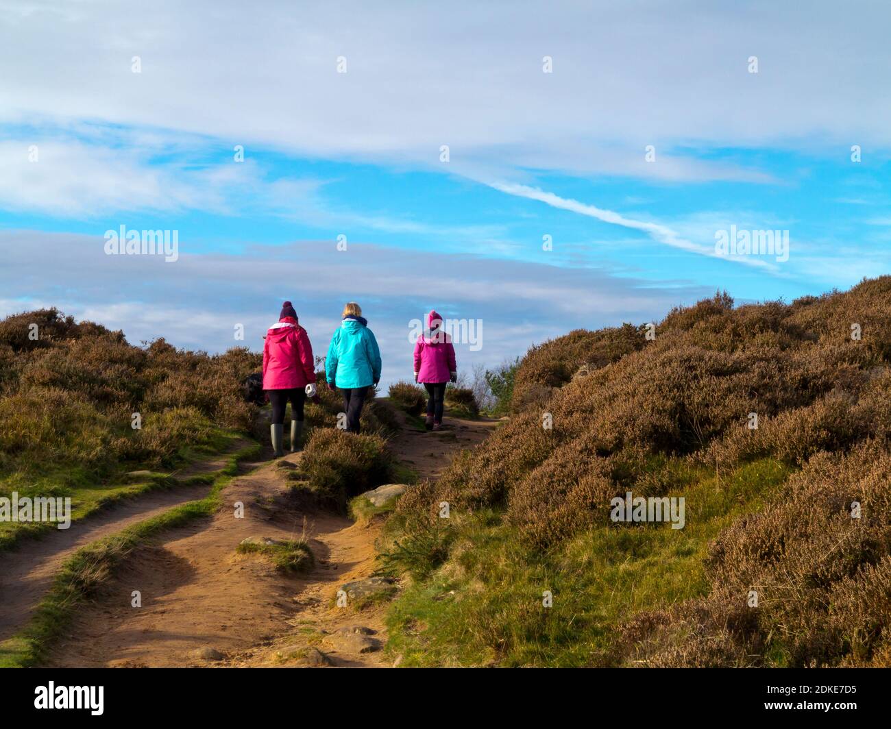Vue arrière de trois personnes marchant sur un sentier de la lande sous le soleil d'hiver avec ciel bleu et nuages. Banque D'Images