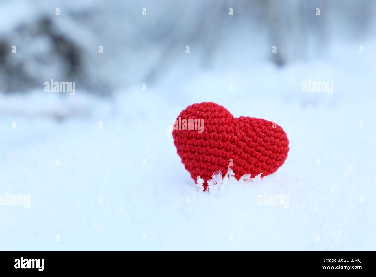 St Valentin coeur sur une neige dans le parc d'hiver. Arrière-plan pour les vacances de Noël, carte de vœux romantique Banque D'Images