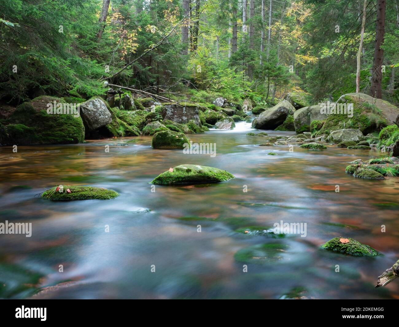 Vue sur le calme de la montagne dans les montagnes géantes de Karkonosze. Photo longue exposition d'une rivière claire avec une surface aux couleurs copéry et verdâtre. Banque D'Images