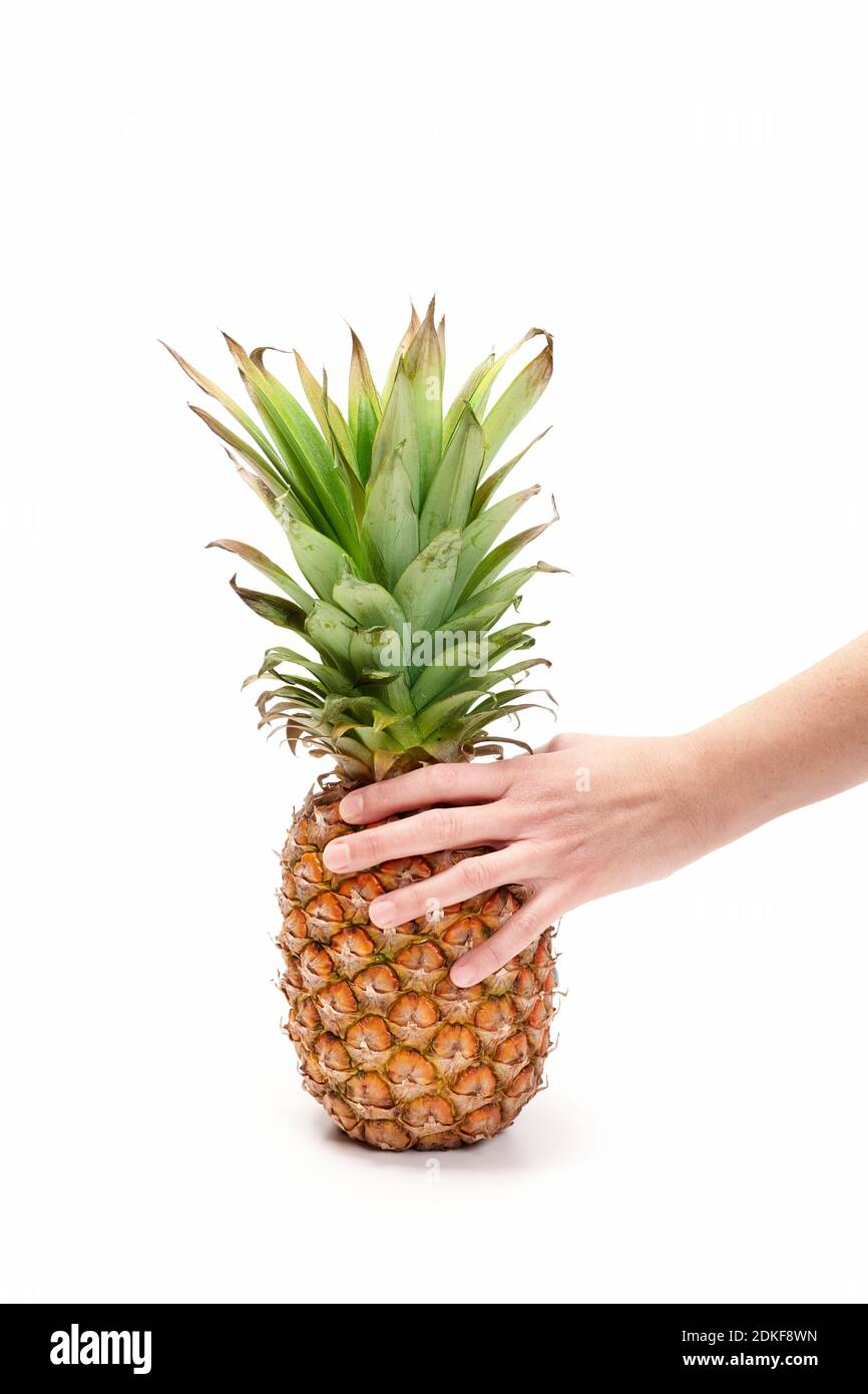 Ananas saisi d'une main sur fond blanc Banque D'Images