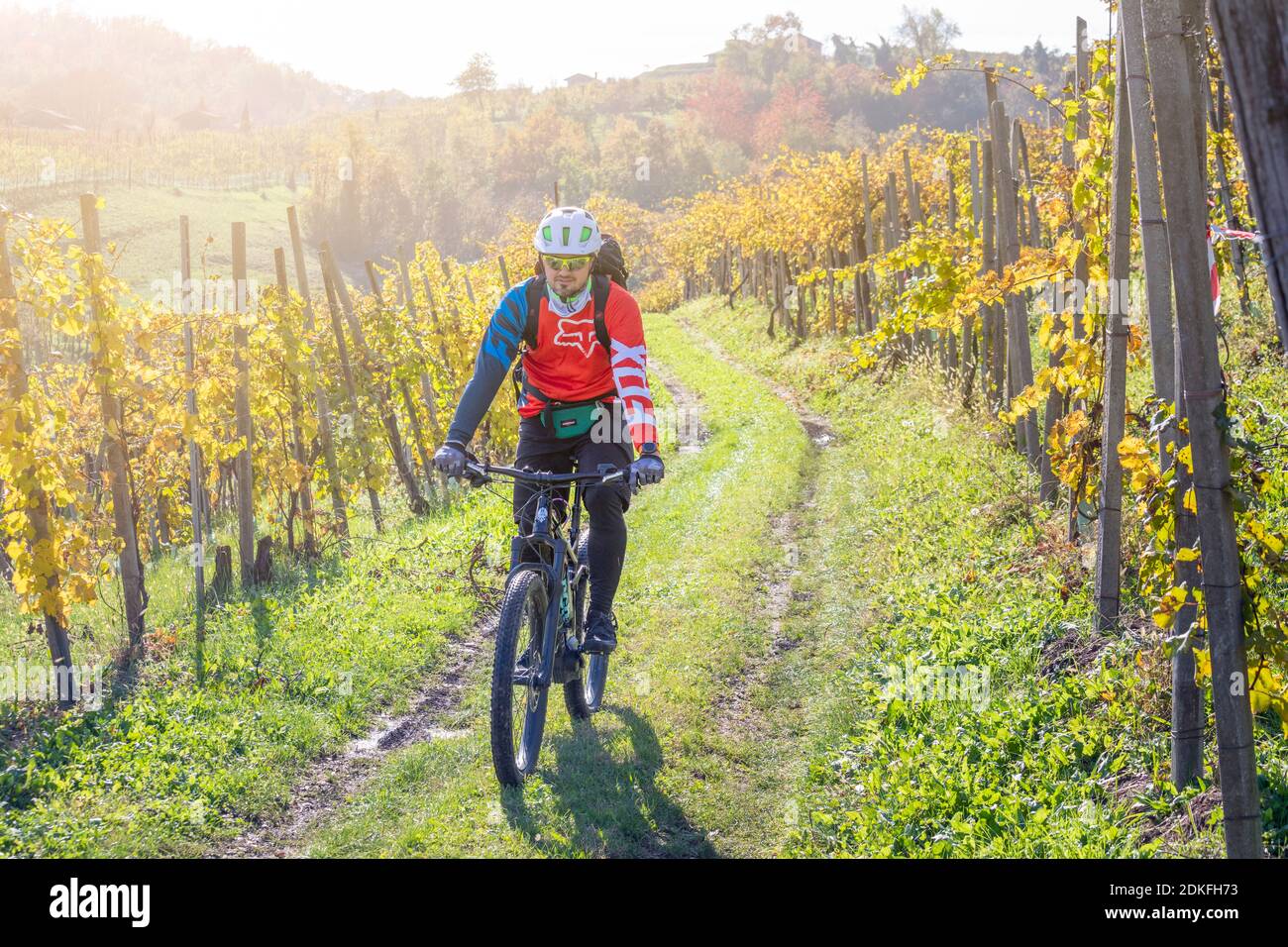 Un homme passe sur les sentiers à travers les vignobles de Prosecco en automne avec un e-bike (e-mtb), vignobles de Valdobbiadene, province de Trévise, Vénétie, Italie Banque D'Images