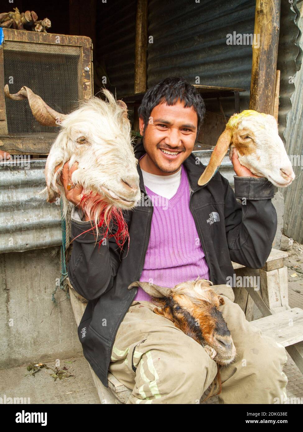 Ladakh, Inde - 15 juillet 2012: Jeune boucher gai avec les têtes de mouton sectées dans un petit magasin de boucher à Ladakh dans l'Himalaya dans le nord de Banque D'Images