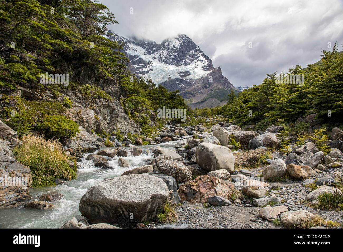 Chili, paysage dans le parc national Torres del Paine, Patagonie Banque D'Images