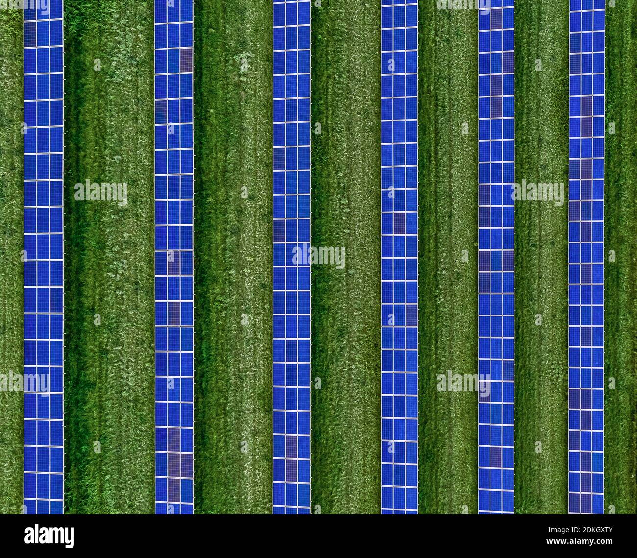 Une vue en plan des panneaux solaires mis dans une ferme solaire, énergie alternative. Banque D'Images