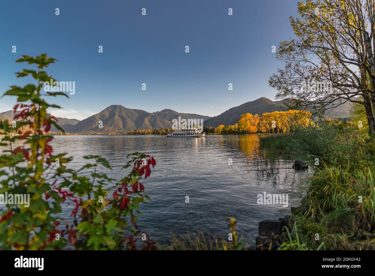 Un beau lac derrière certaines plantes de couleur d'automne avec une montagne en arrière-plan. Banque D'Images