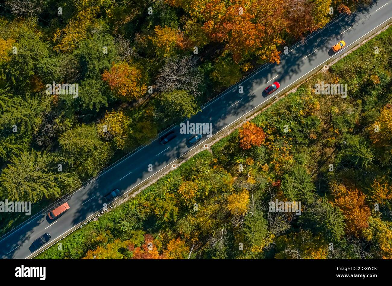 Magnifiques couleurs de la forêt d'automne traversée par une diagonale route asphaltée avec voitures de conduite Banque D'Images