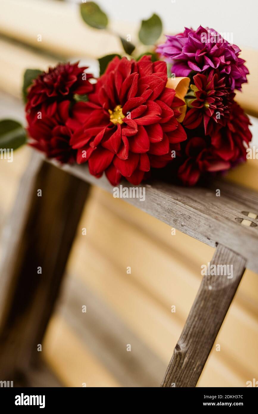 Bouquet Dahlia, échelle en bois, banc de jardin Banque D'Images