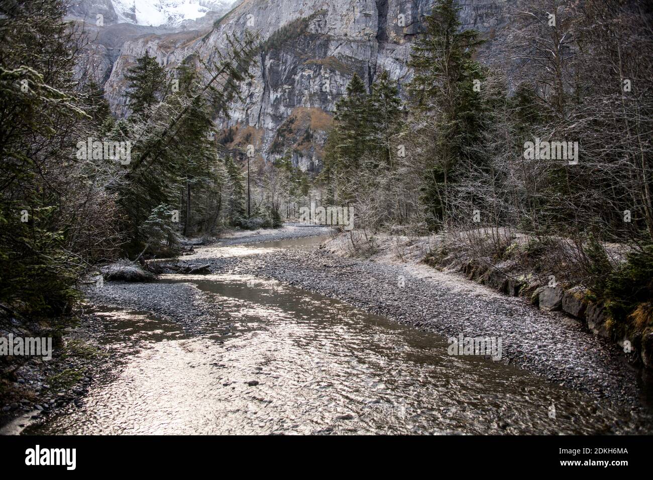 Ruisseau de montagne avec un lit de pierreux, fin de l'automne avec des sapins croqués Banque D'Images