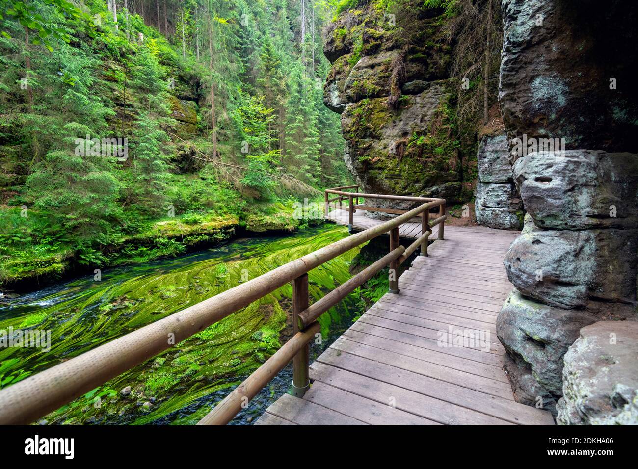 Kamnitz, rivière, passerelle, sentier de randonnée, Mezni Louka, Parc National, Suisse de Bohême, République Tchèque, Europe Banque D'Images