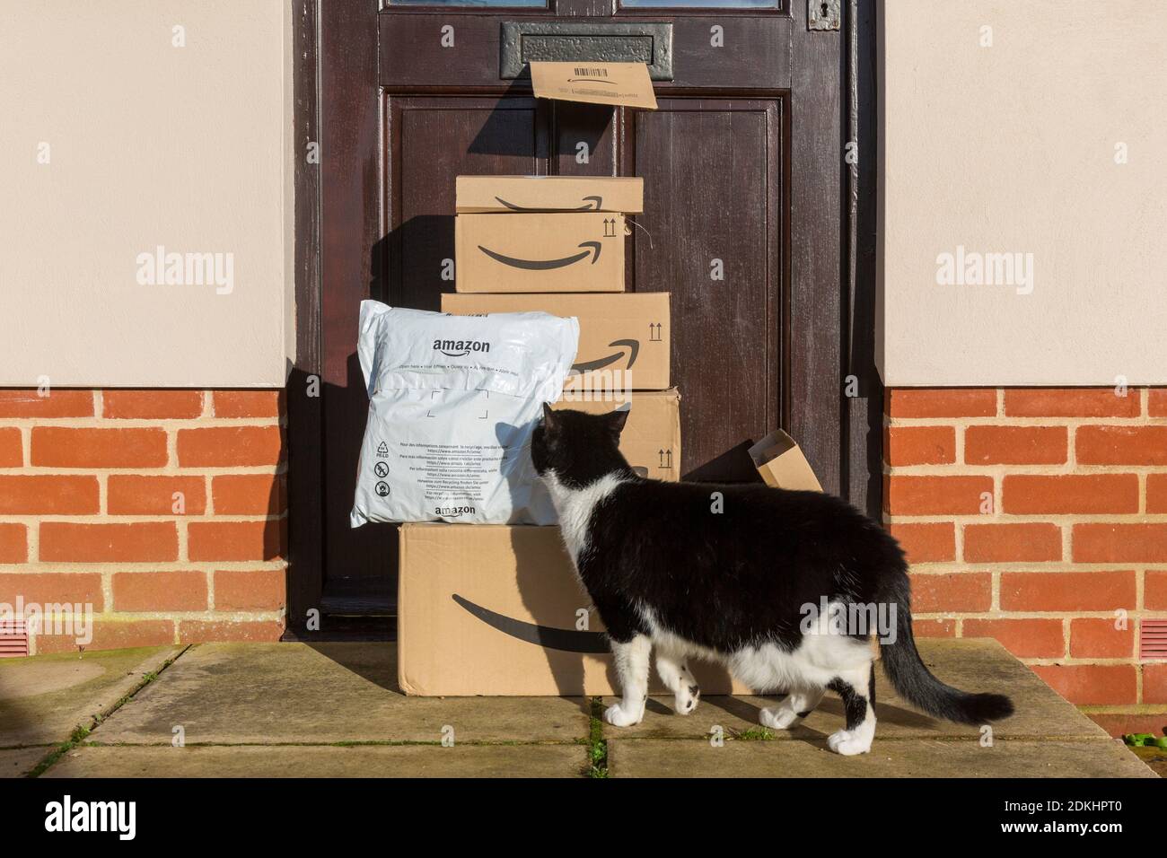 Achats en ligne donc une livraison de colis et boîtes amazon à l'extérieur d'une porte d'entrée avec un chat curieux. Banque D'Images