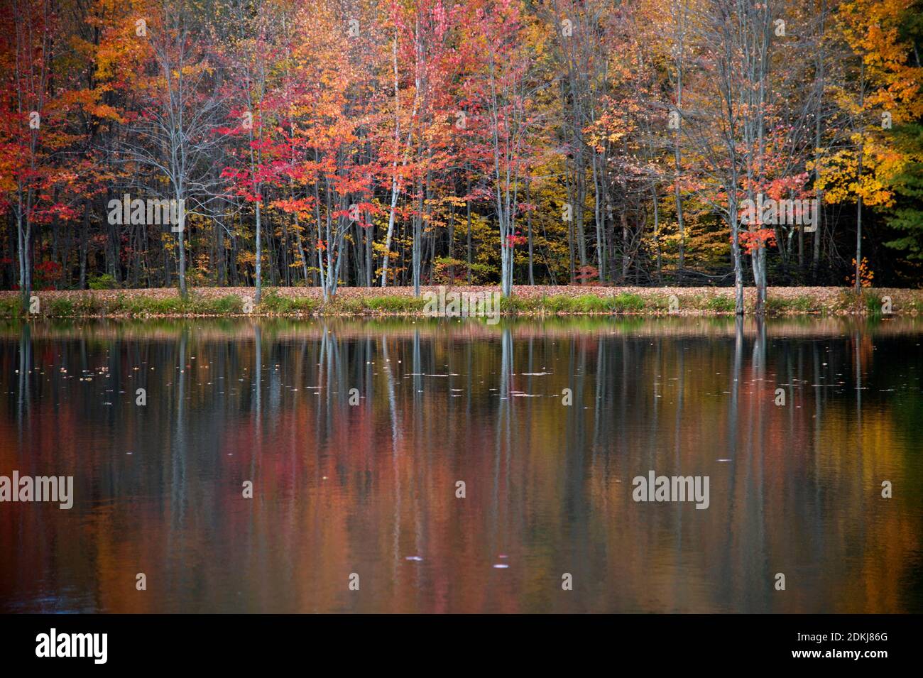 Couleurs d'automne reflétées sur un lac en Nouvelle-Angleterre, Maine, États-Unis Banque D'Images