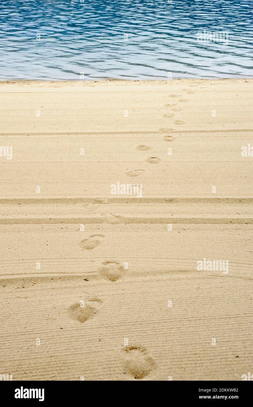 Empreintes de pieds sur une plage de sable soignée qui mène de l'eau. Banque D'Images