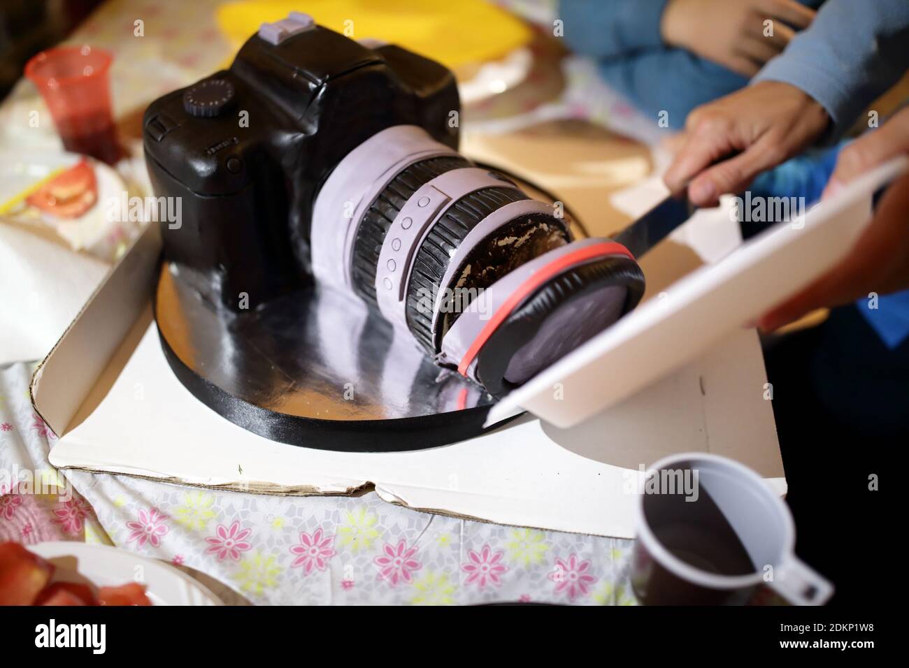 Femme Coupant Le Gateau Sous Forme D Appareil Photo Photo Stock Alamy