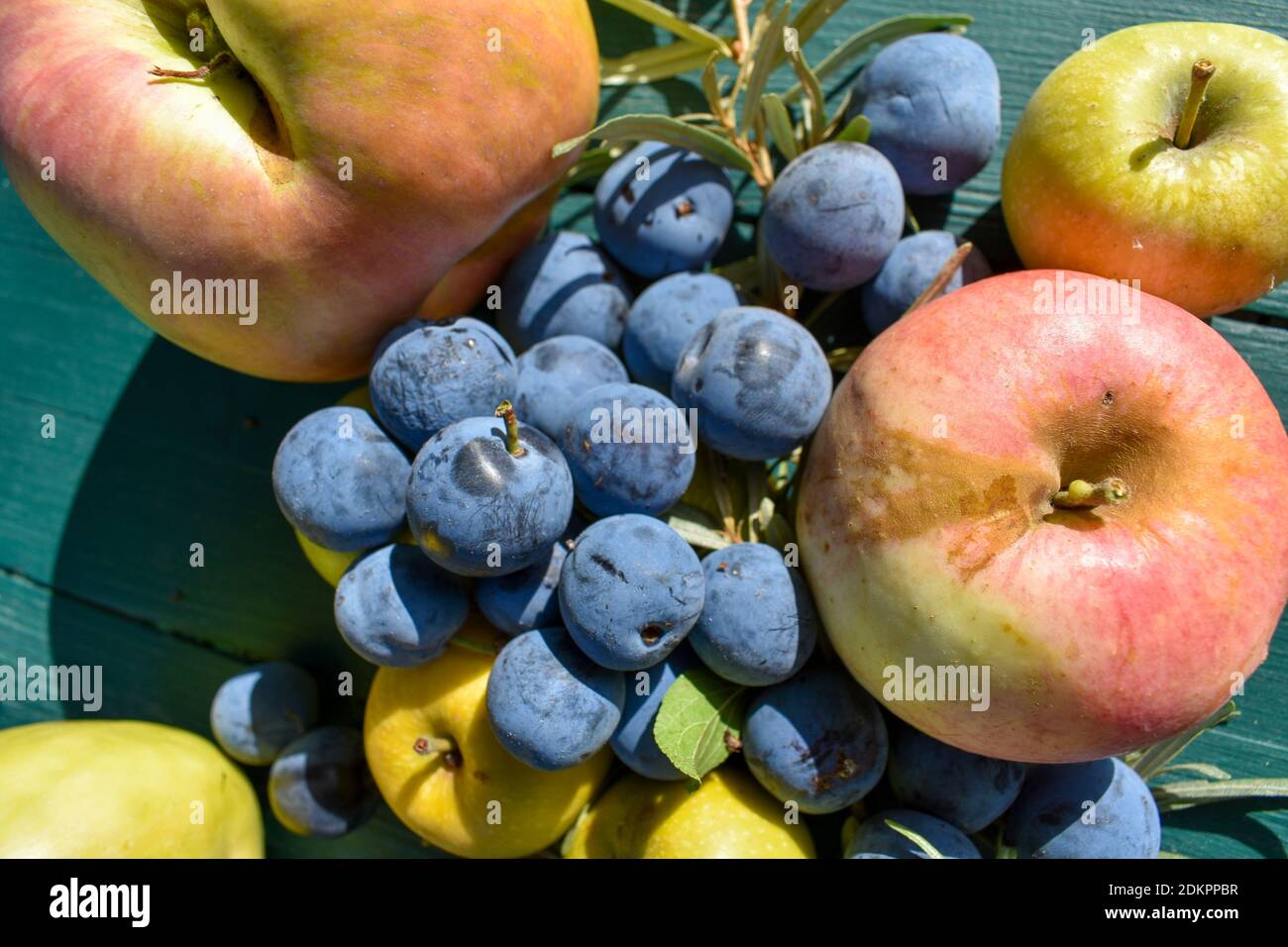 Pommes et prune sauvage sur la table Banque D'Images