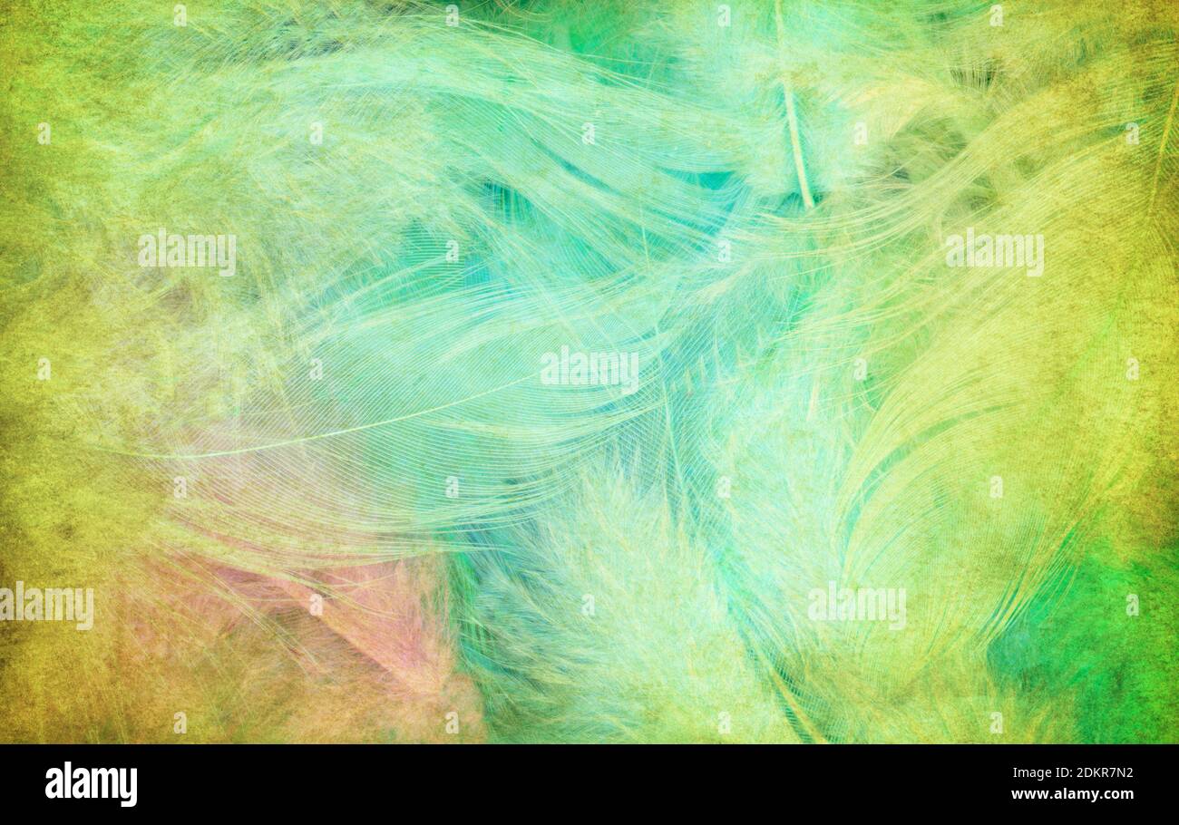 Arrière-plan plumes vertes - haute résolution Banque D'Images