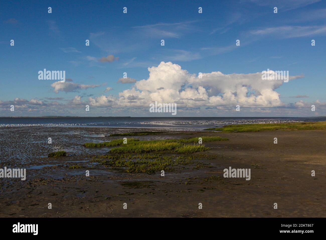 La mer du Nord est calme ici et avec de beaux nuages dans le ciel. Ostfriesland, Allemagne Banque D'Images