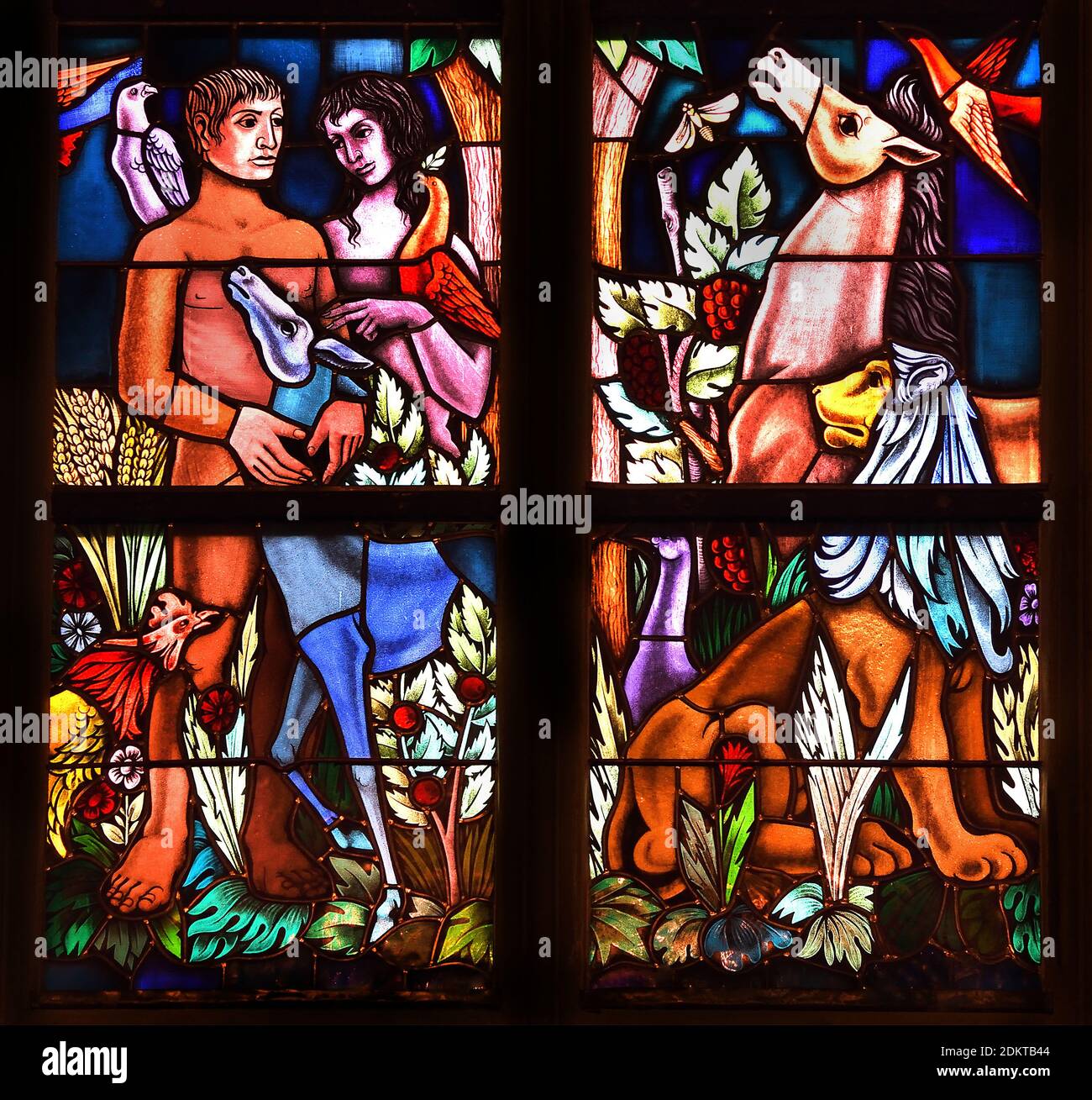 Le paradis Adam et Eve ( Cathédrale Saint-Jean ('s-Hertogenbosch) les pays-Bas, Néerlandais, ( vitraux ) Banque D'Images