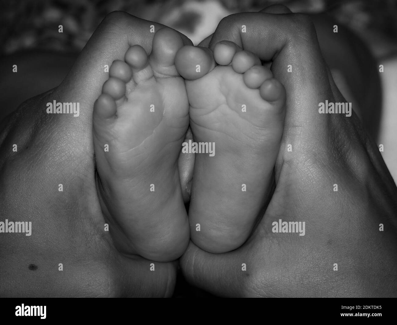 Mains et pieds - maman et son bébé Banque D'Images