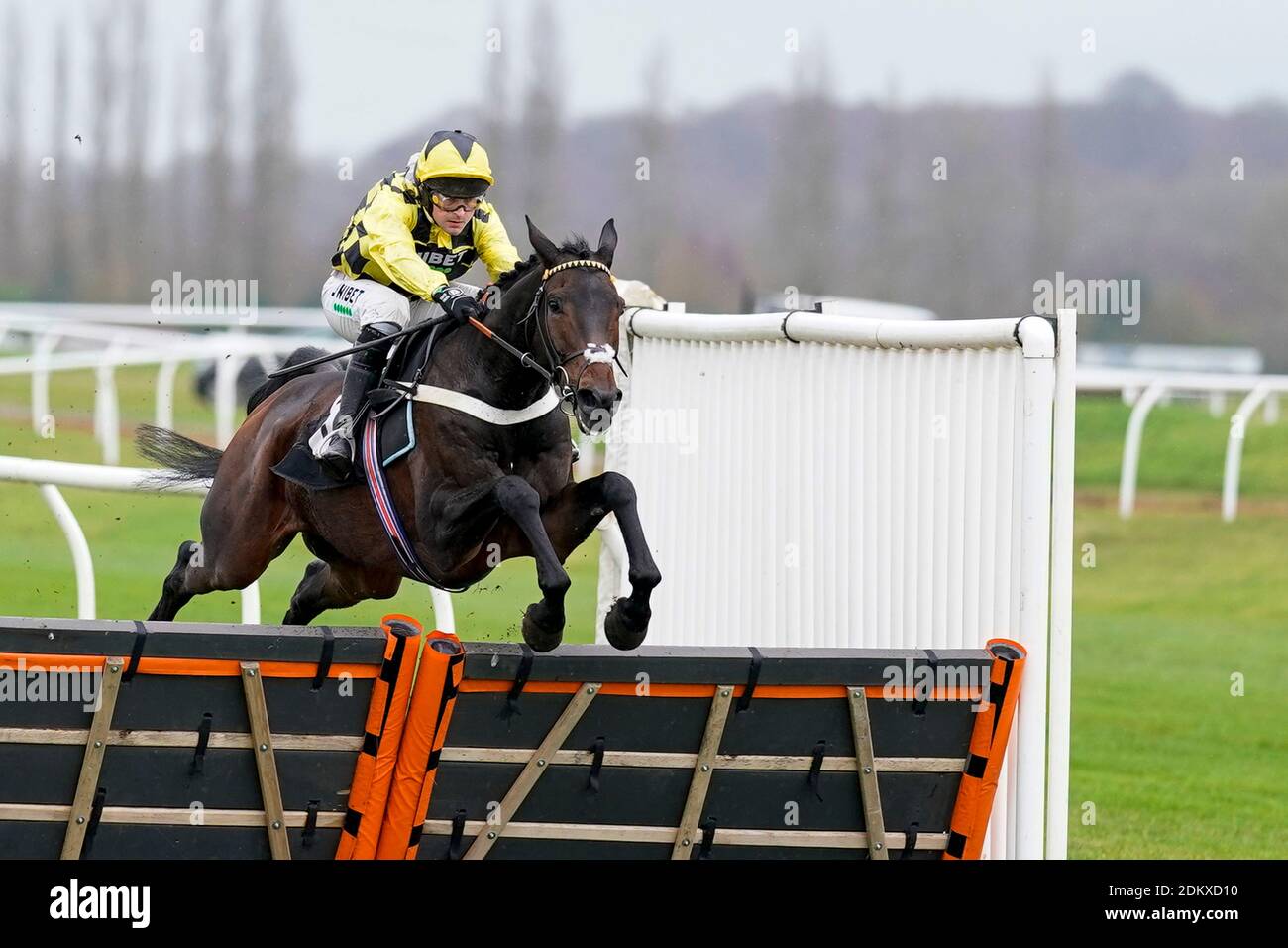 Nico de Boinville à cheval Article de Lecale Effacer la dernière clôture pour gagner l'obstacle BoscaSports The Retail Bookmakers Choice Maiden à l'hippodrome de Newbury. Banque D'Images