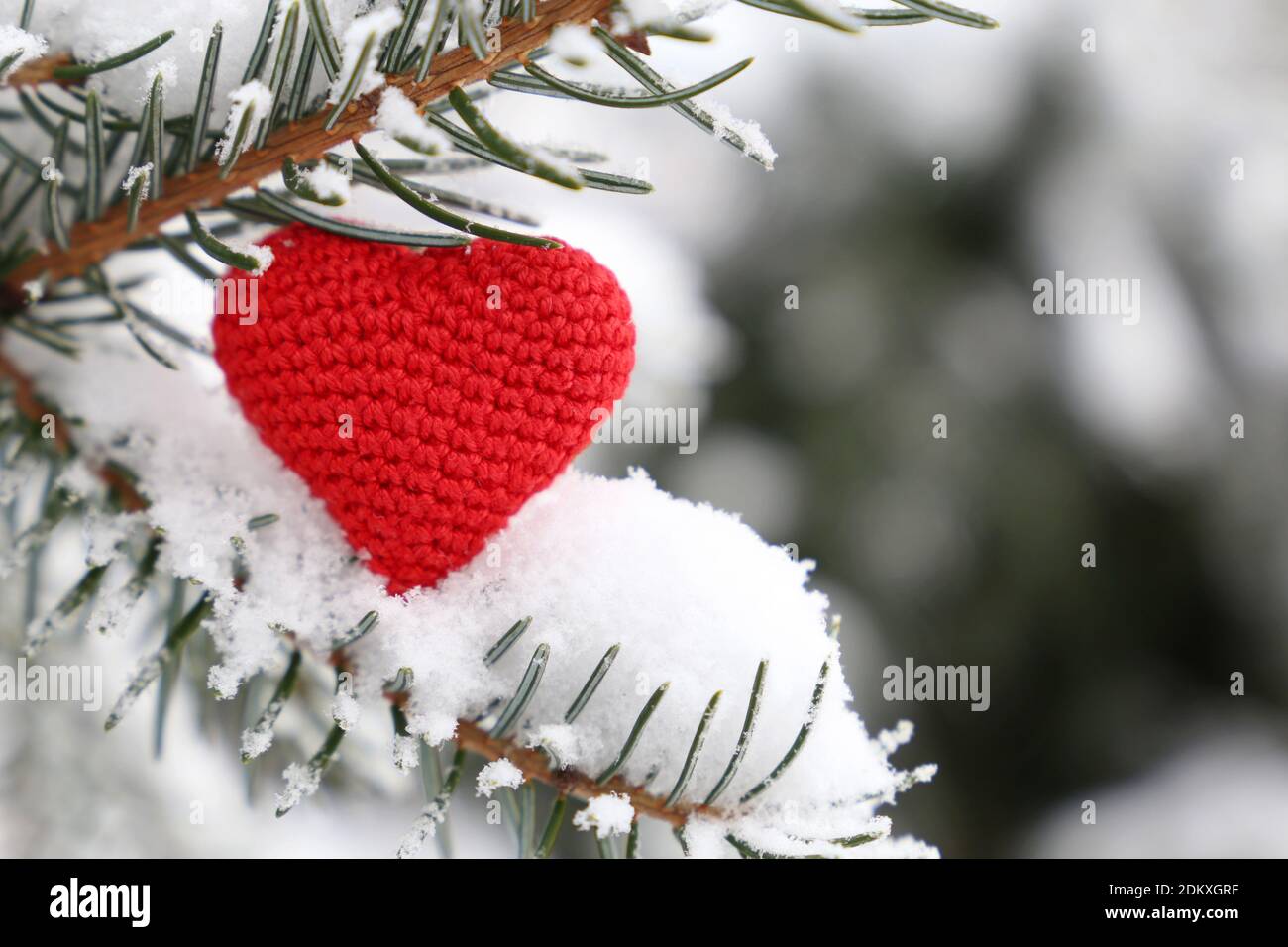 Coeur de Noël tricoté rouge, symbole de l'amour dans la neige sur les branches de sapin. Arrière-plan de la carte romantique, fête du Nouvel An, la Saint Valentin ou d'hiver Banque D'Images