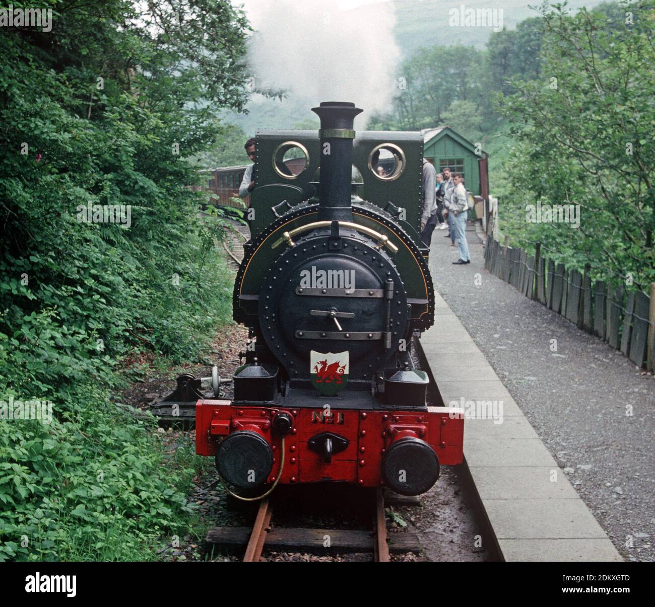 Chemin de fer de Talyllyn. Vapeur locomotrice à la station Nant Gwernol. Pays de Galles du milieu. Grande-Bretagne Banque D'Images