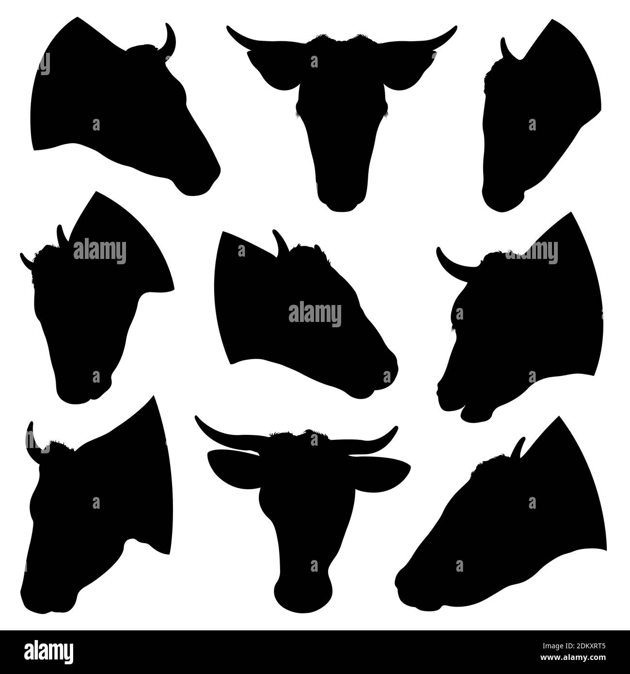 Ensemble de têtes de vache différentes isolées sur blanc Banque D'Images