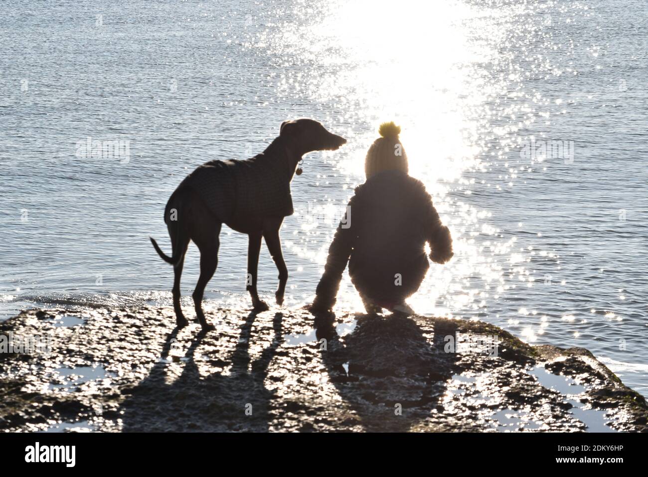 Silhouettes de chien et d'enfant sur une groyne près du mer Banque D'Images