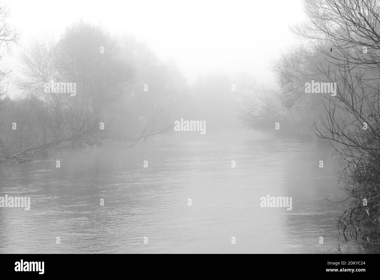 Écoulement de la rivière au milieu des arbres et de l'herbe enrepliée dans le brouillard du matin en automne Banque D'Images