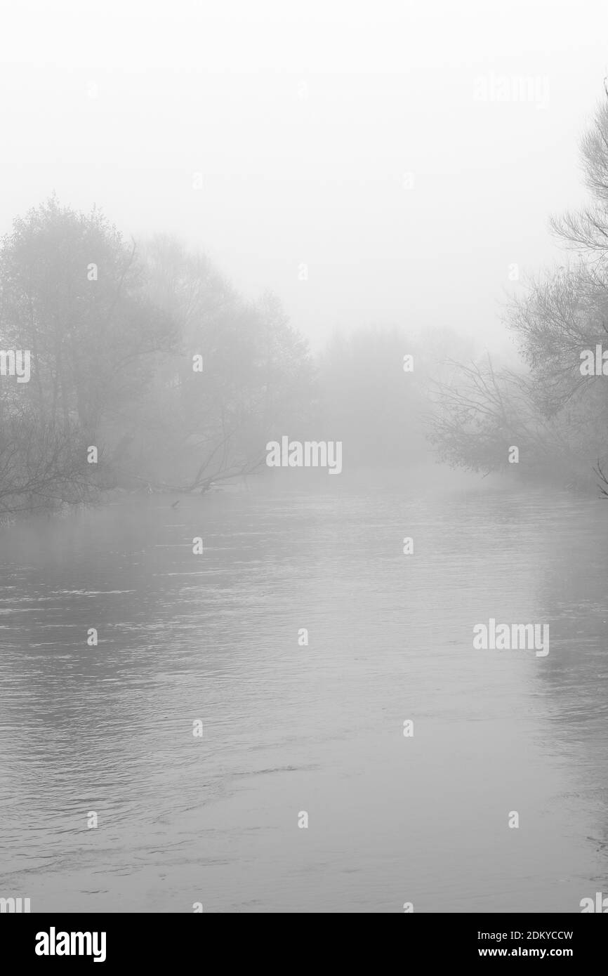 Écoulement de la rivière au milieu des arbres et de l'herbe enrepliée dans le brouillard du matin en automne Banque D'Images