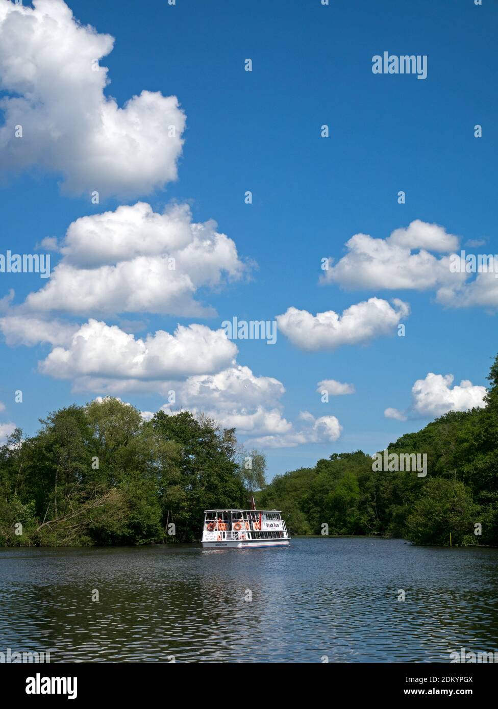 Tour en bateau sur les Norfolk Broads en laissant Salhouse Broad, sous le grand ciel spectaculaire de Norfolk, Salhouse, Norfolk, Angleterre, Royaume-Uni Banque D'Images