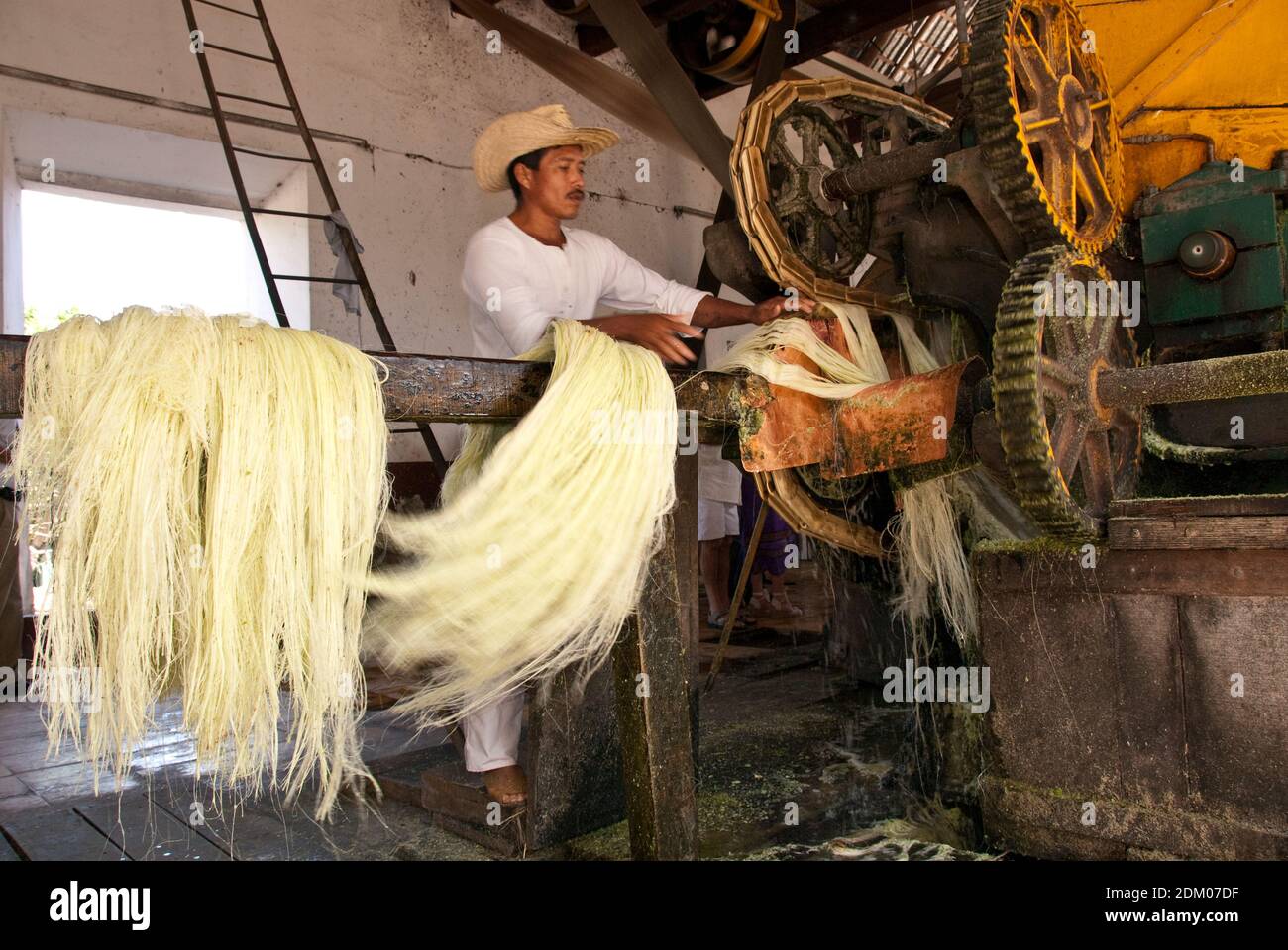 Les travailleurs traitent Henequen, une usine d'agave, en une fibre adaptée à la corde et à la ficelle, à l'Hacienda Sotuta de Peon, Yucatan, Mexique. Banque D'Images