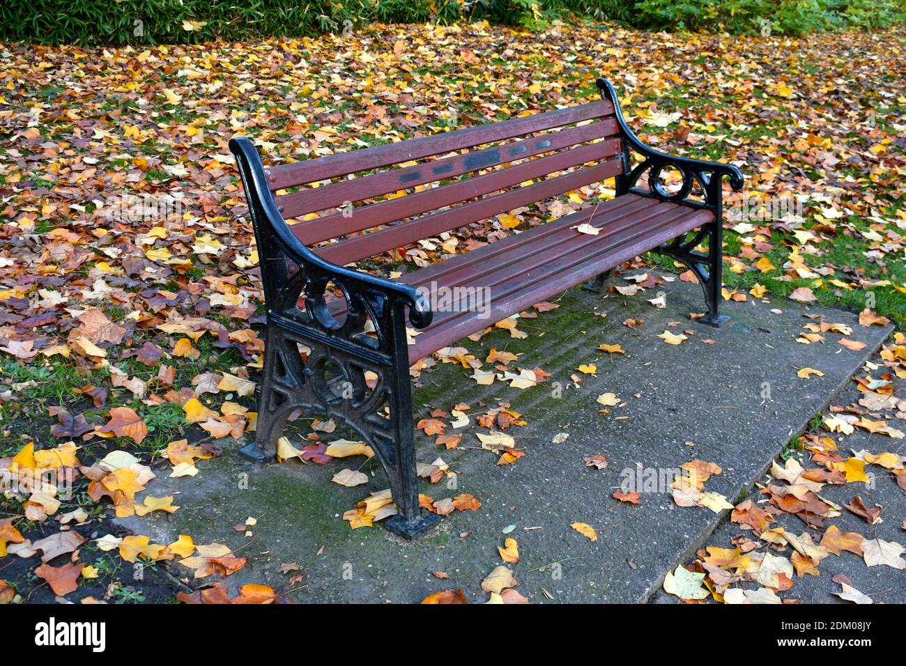 gros plan vide de banc de parc en bois à l'extérieur à la fin de l'automne  sur une journée humide, avec des feuilles dorées qui blanchit le sol Photo  Stock - Alamy