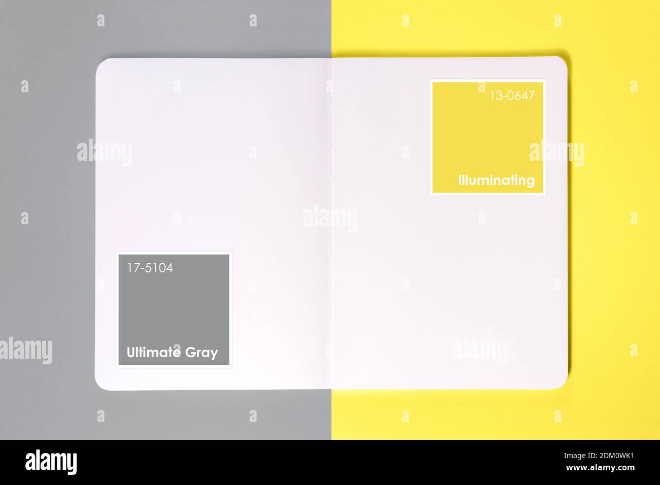 Nettoyez le bloc-notes ou le carnet d'esquisses ouvert avec un cadre et du texte sur fond jaune et gris ultime. Démonstration des couleurs de l'année 2021 Banque D'Images