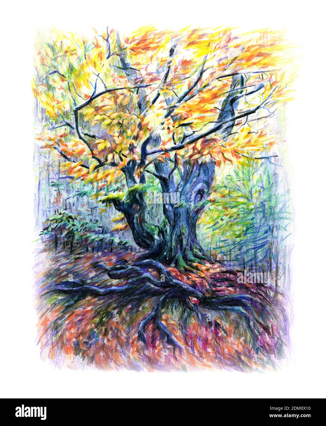 Croquis de crayons de couleur de la forêt de fées de l'automne ensoleillé de carpathian Banque D'Images